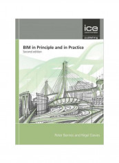 BIM in Principle and in Practice Paperback