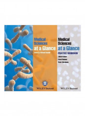 Medical Sciences At A Glance: Practice Workbook Paperback