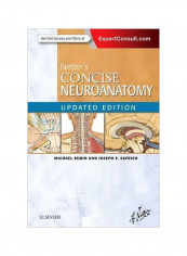 Netter's Concise Neuroanatomy Paperback English by Michael Rubin - 3/Oct/16
