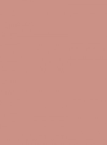 Rouge Blush 060 Premiere
