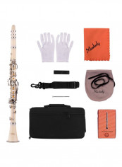 17-Key Clarinet Bb Flat With Accessories