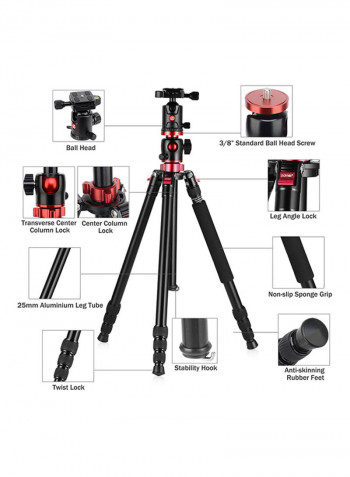Professional M8 Tripod With Ball Head Black/Red