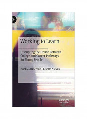 Working To Learn: Disrupting The Divide Between College And Career Pathways For Young People Hardcover 1