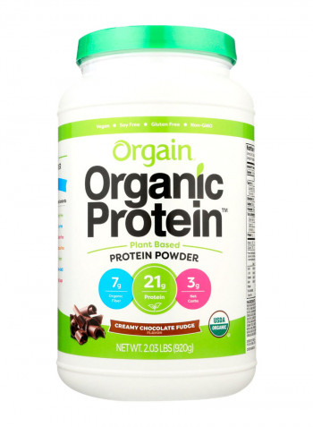 Creamy Chocolate Fudge Organic Protein Powder