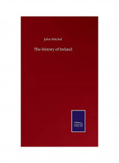 The History of Ireland Hardcover English by John Mitchel - 2020