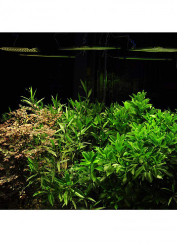 LED Plant Grow Light For Indoor Plants With External Switch Timer Silver