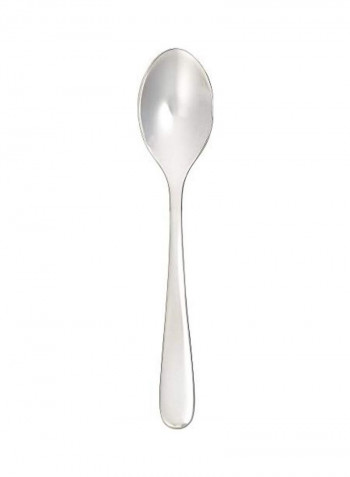 Matte Spoon Silver