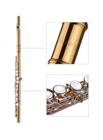 Closed Hole C Flute With Accessory Set