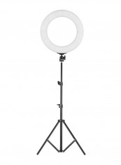 Portable Photography Ring Light With Tripod Stand Black/White