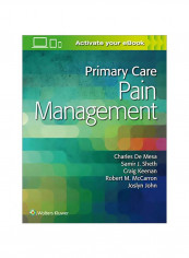Primary Care Pain Management Paperback