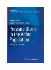Pressure Ulcers In The Aging Population: A Guide For Clinicians Paperback
