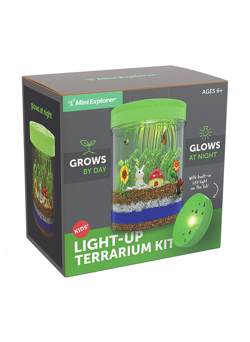 Light Up Terrarium Kit