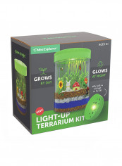Light Up Terrarium Kit reviews Light Up Terrarium Kit