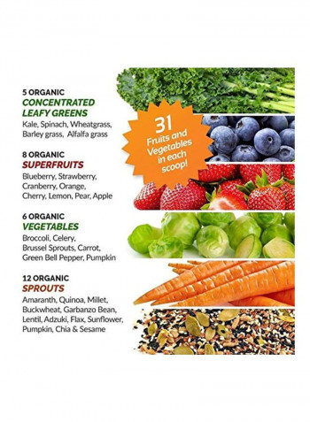 Superfood 31 Organic Instant Blend