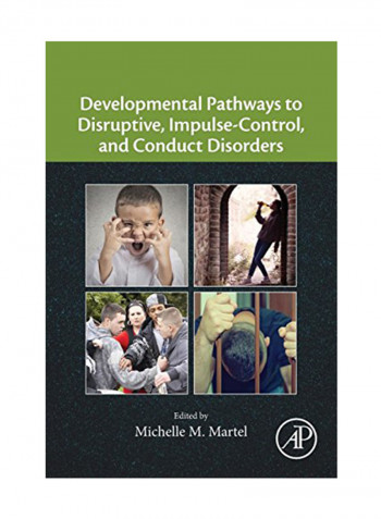 Developmental Pathways To Disruptive, Impulse-Control, And Conduct Disorders Paperback