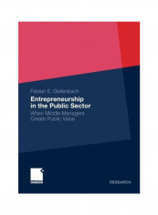 Entrepreneurship In The Public Sector 2011 Paperback