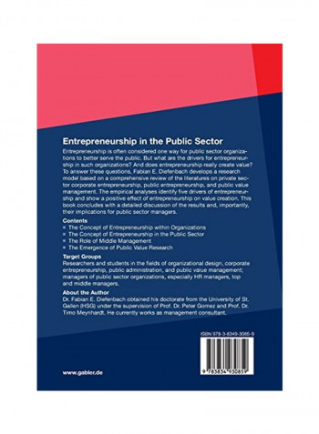 Entrepreneurship In The Public Sector 2011 Paperback