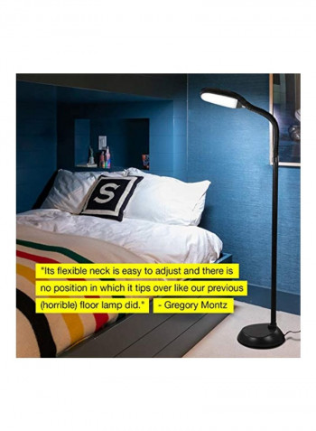 LED Floor Lamp Black 10.2x9x61inch