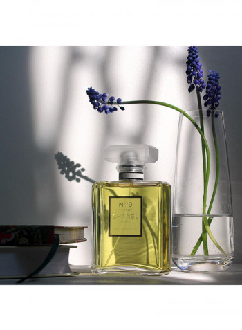 No 19 Poudre EDP 100ml