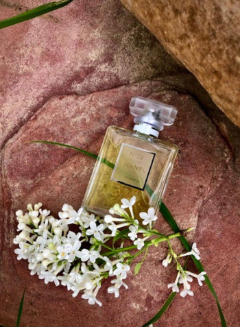 No 19 Poudre EDP 100ml