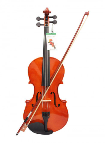 Case Bow Bridge Strings