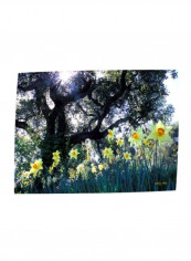 Daffodils And The Oak Canvas Wall Painting Green/Black/White 32x48inch