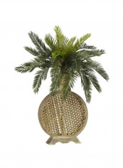Artificial Cycas With Vase Green/Brown reviews Artificial Cycas With Vase Green/Brown