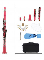 17-Key Flat Soprano Binocular Clarinet with Accessories