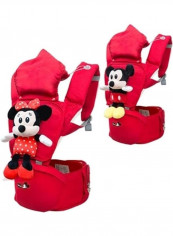 Mickey Mouse Themed Carrier