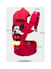Mickey Mouse Themed Carrier