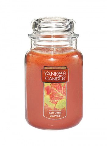 Yankee Candle Large Jar Candle, Autumn Leaves Orange