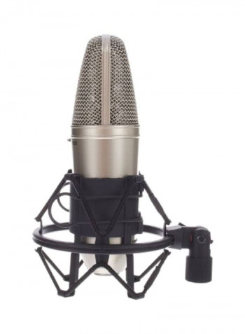 Large-Diaphragm Studio Condenser Microphone B1 Silver