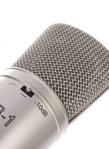 Large-Diaphragm Studio Condenser Microphone B1 Silver