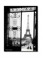 Views Of Paris Canvas Wall Art Black/Silver 24 x 32inch