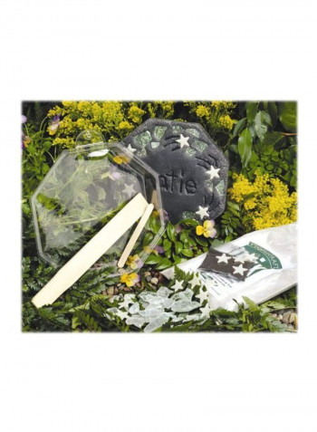 Glow-in-the-Dark Stepping Stone Kit Clear