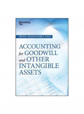 Accounting For Goodwill And Other Intangible Assets Hardcover