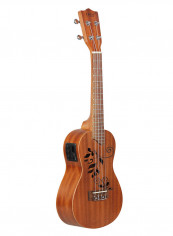Wood Ukelele Uke Kit with LCD
