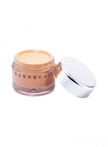 Future Skin Oil Free Gel Foundation Ivory
