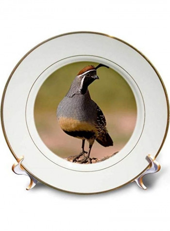 Porcelain Plate Multicolour 8"inch