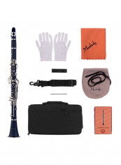17-Key Woodwind Clarinet Set reviews 17-Key Woodwind Clarinet Set