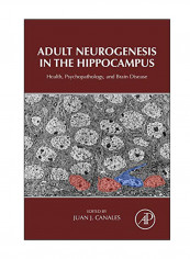 Adult Neurogenesis In the Hippocampus: Health, Psychopathology, And Brain Disease Hardcover