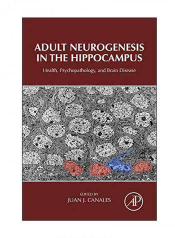 Adult Neurogenesis In the Hippocampus: Health, Psychopathology, And Brain Disease Hardcover