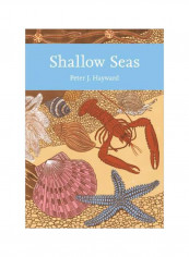 Shallow Seas Paperback