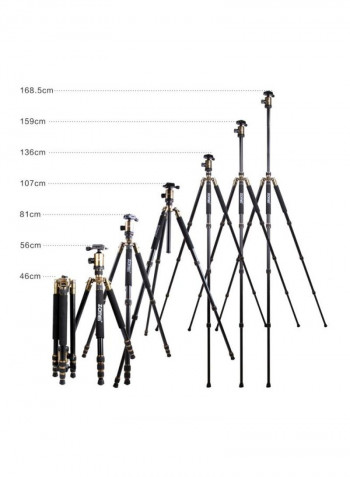 Aluminium Tripod With Ball Head For Digital Camera 46centimeter Gold/Black