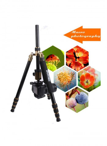 Aluminium Tripod With Ball Head For Digital Camera 46centimeter Gold/Black