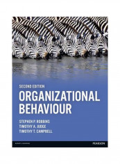 Organizational Behaviour Paperback 2
