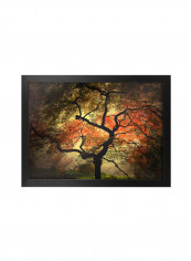 Japanese I Framed Wall Art Multicolour 18 x 24inch