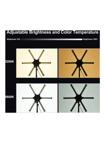 6 Tubes Stick Beauty Light Black/White