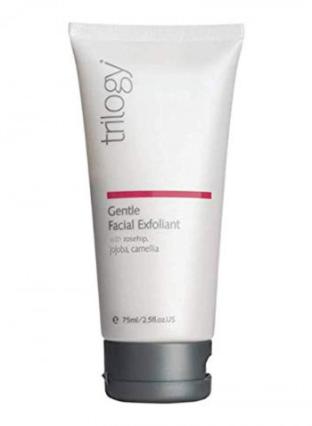 Gentle Facial Exfoliant