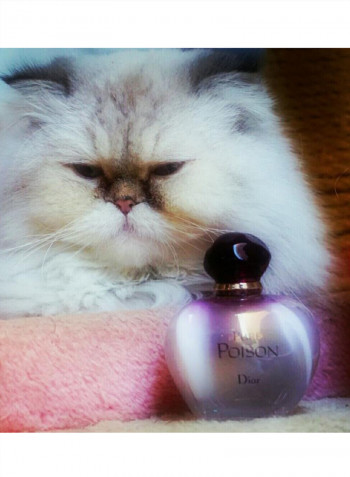Pure Poison EDP 100ml